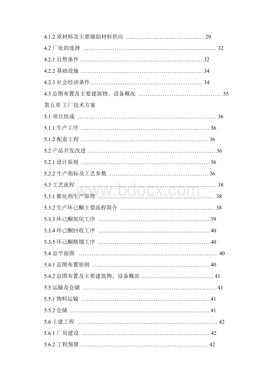 环己烷绿色催化氧化法生产环己酮可行性研究报告书文档格式.docx_第3页