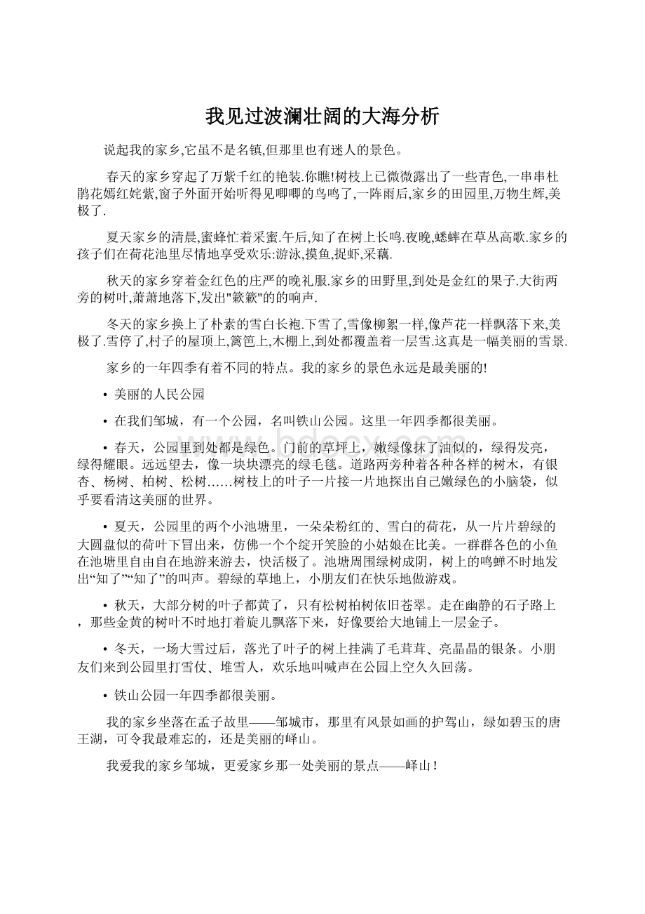 我见过波澜壮阔的大海分析文档格式.docx