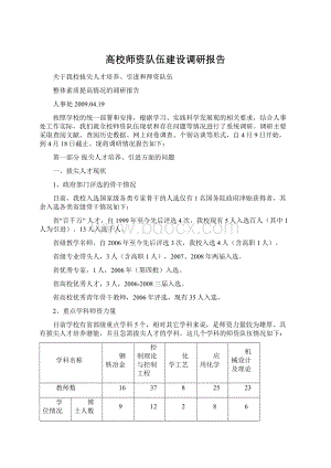 高校师资队伍建设调研报告.docx