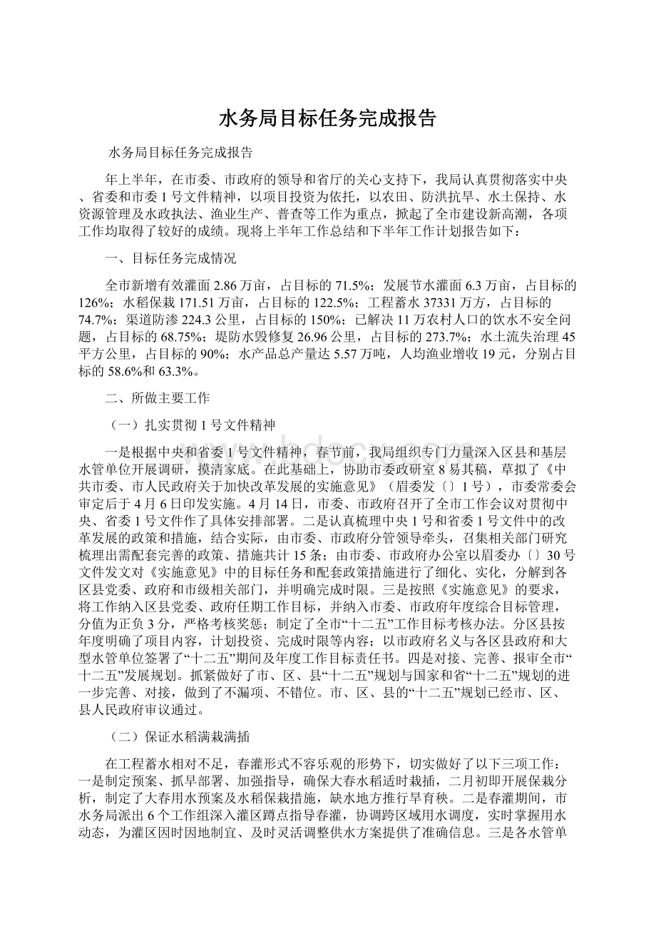 水务局目标任务完成报告文档格式.docx