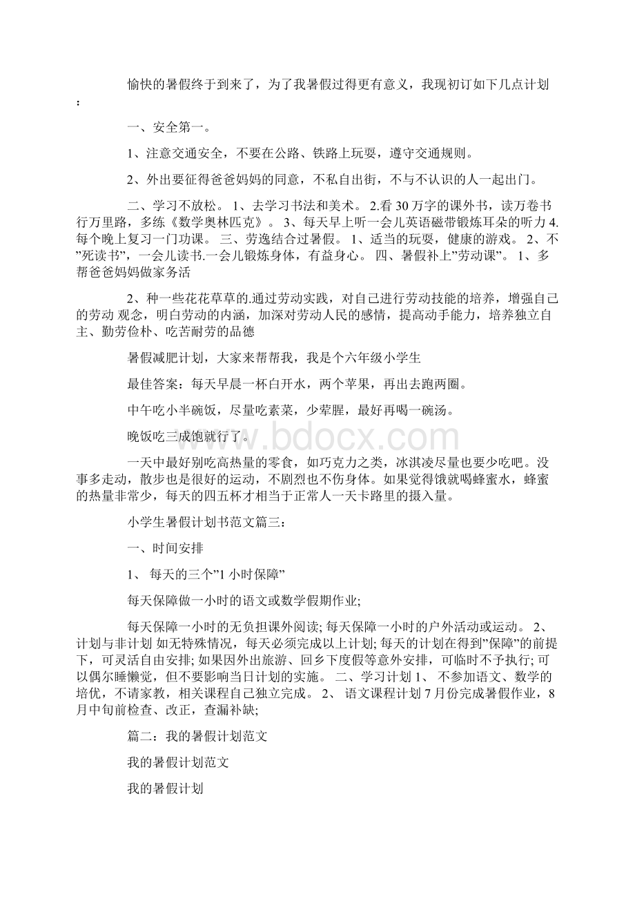 暑假计划文书范文大全.docx_第2页