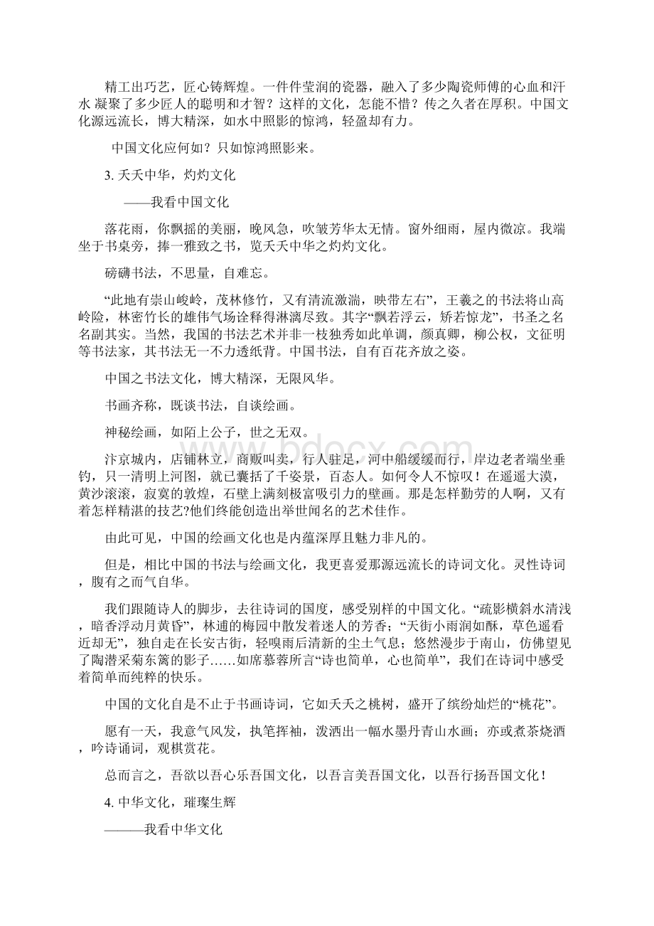 我看文化.docx_第3页