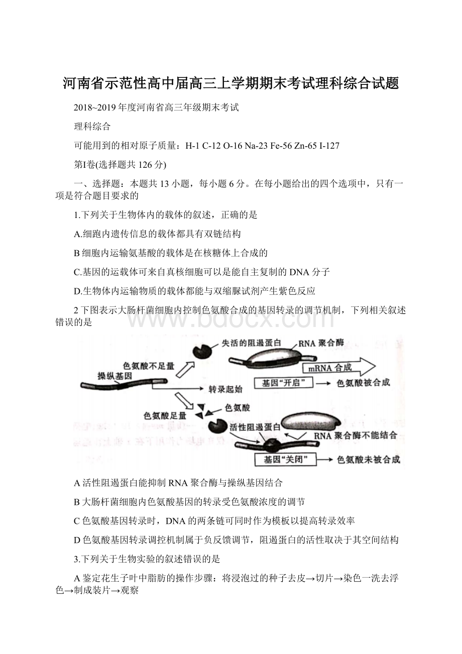 河南省示范性高中届高三上学期期末考试理科综合试题.docx_第1页