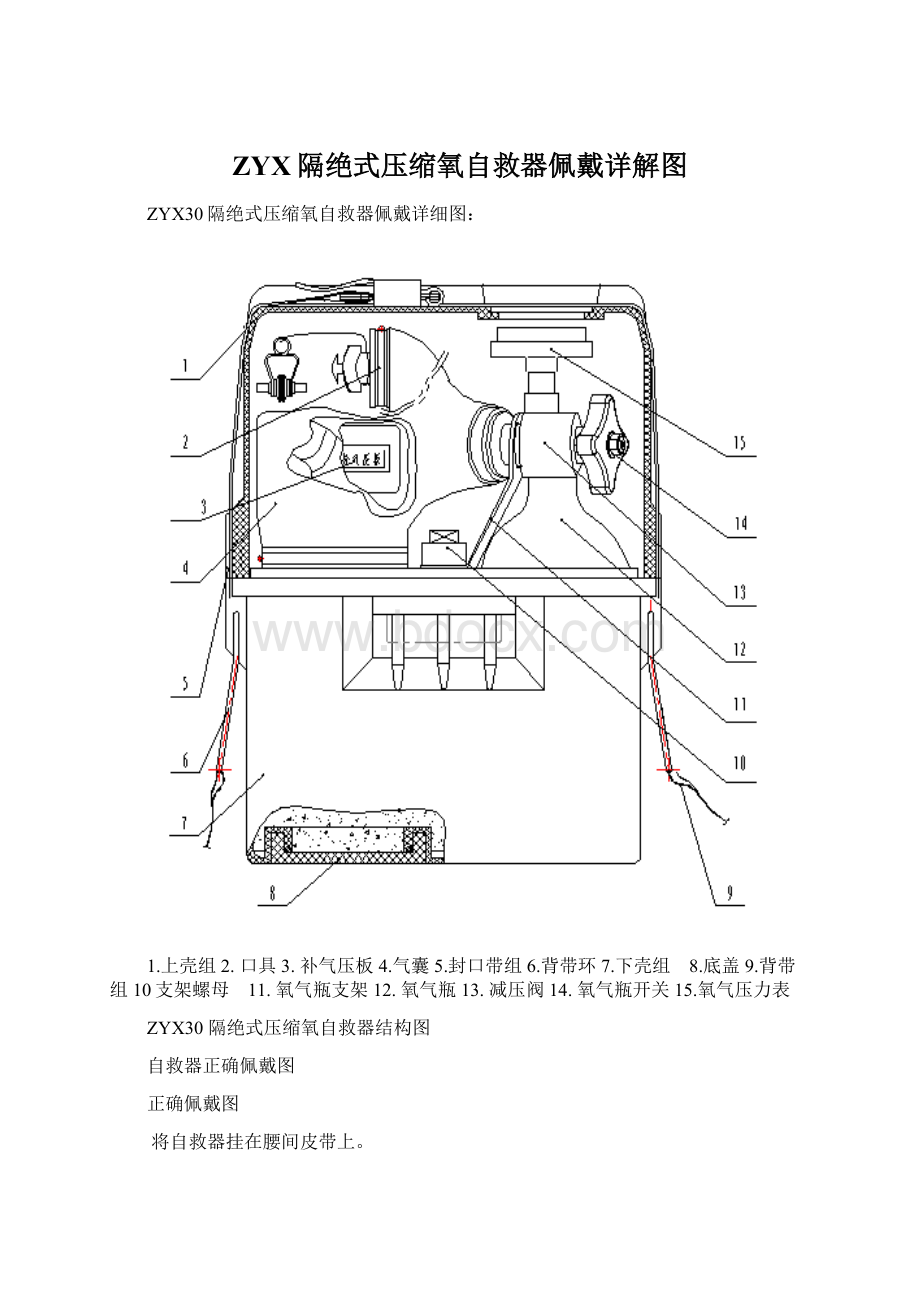 ZYX隔绝式压缩氧自救器佩戴详解图.docx_第1页