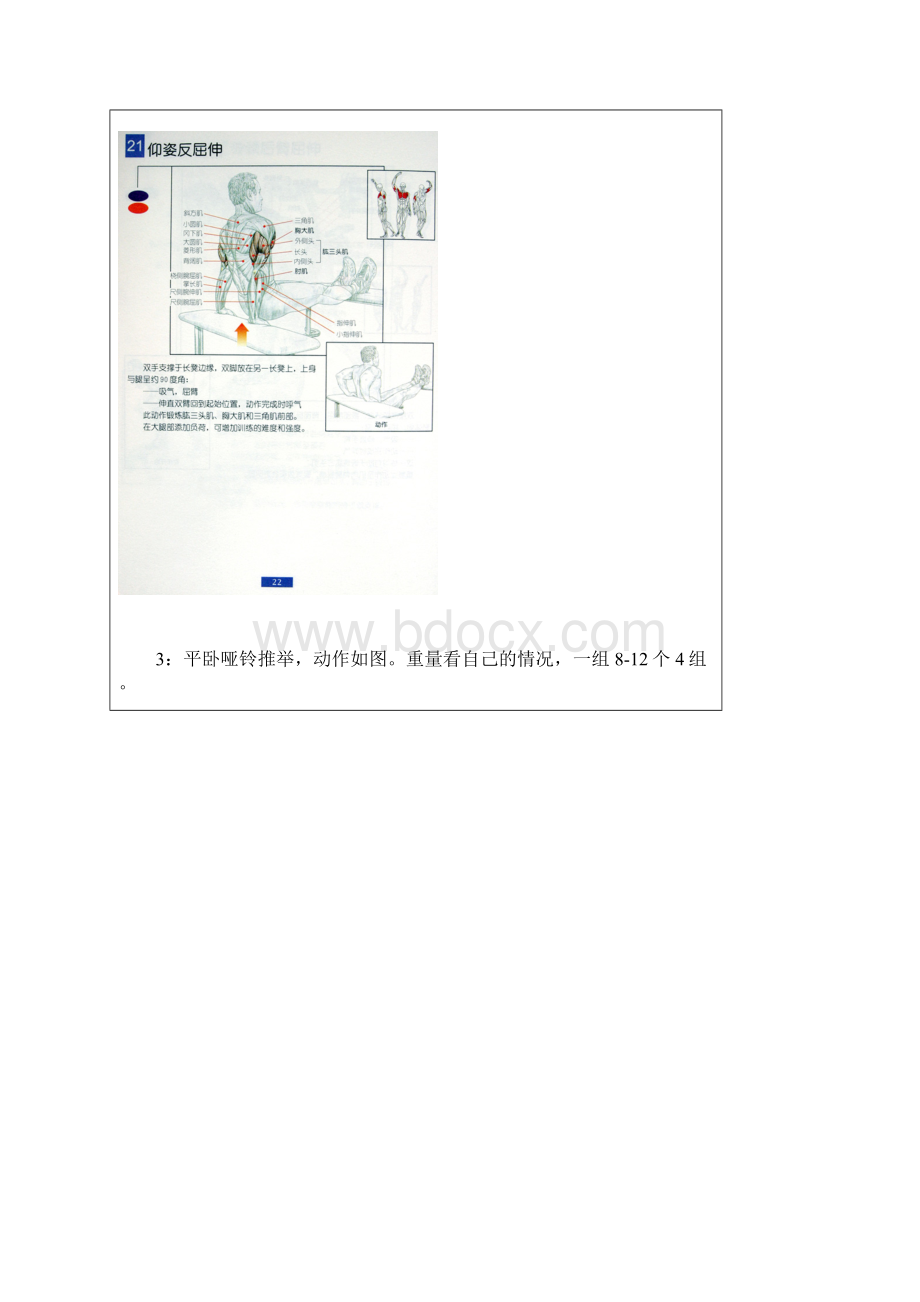 男士必须收藏男士健身方案168之家中也可以锻炼出肌肉.docx_第2页