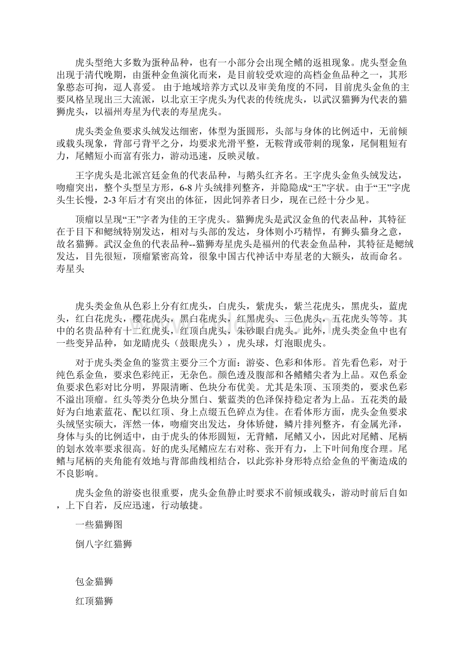 完整word版中国金鱼大全确实漂亮养眼Word下载.docx_第3页