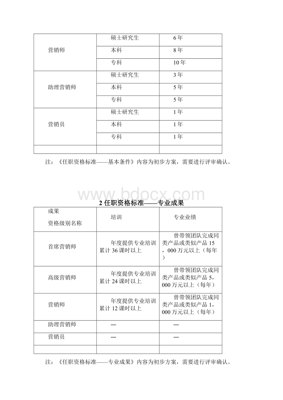 项目管理华帝项目任职资格标准营销职种Word文档下载推荐.docx_第2页