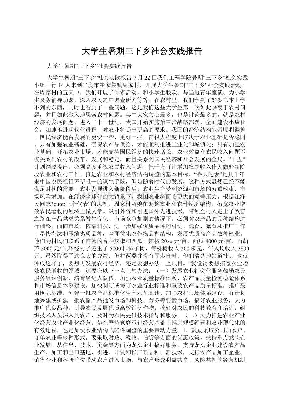 大学生暑期三下乡社会实践报告Word格式文档下载.docx