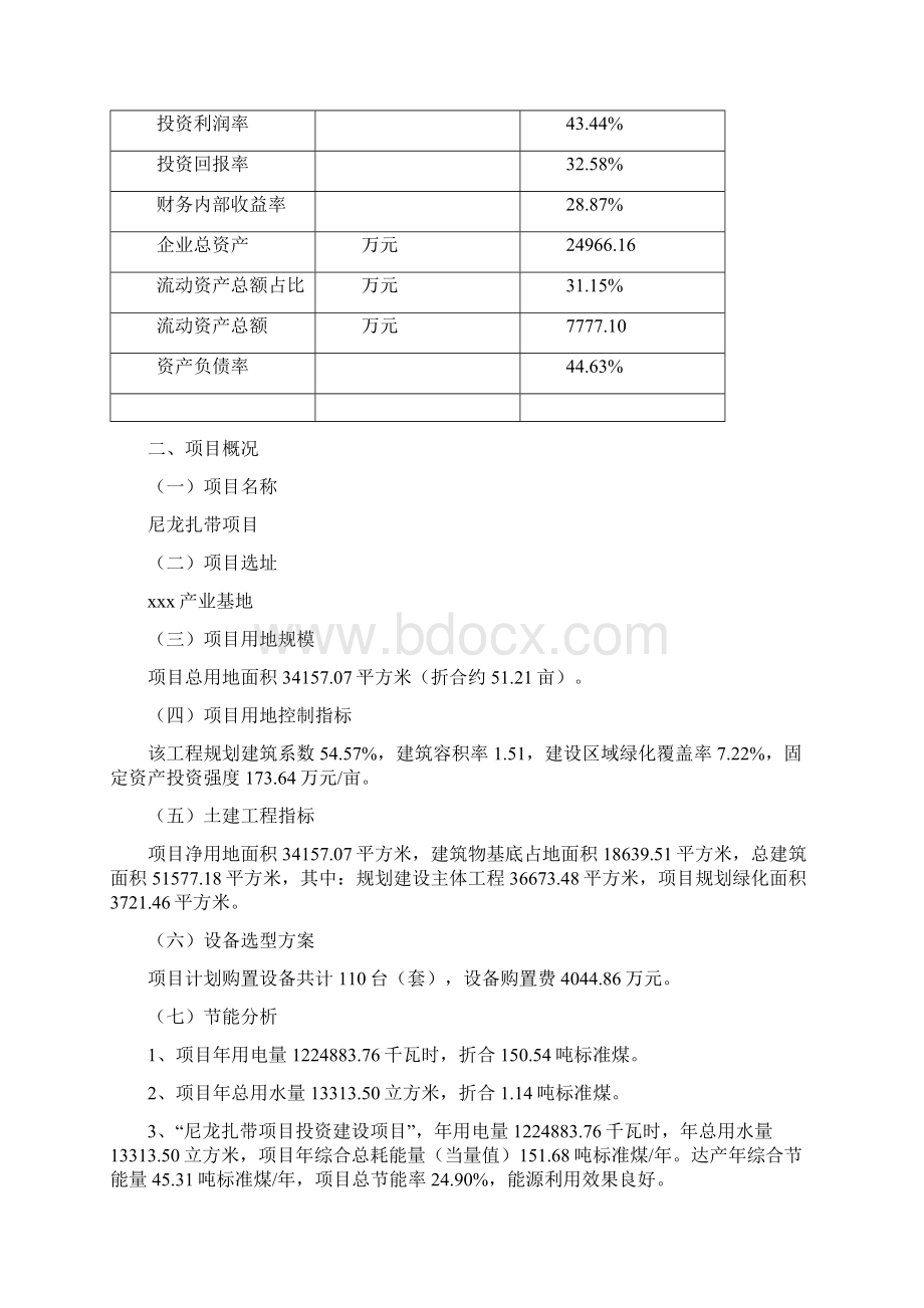 尼龙扎带项目可行性研究报告Word文档格式.docx_第3页