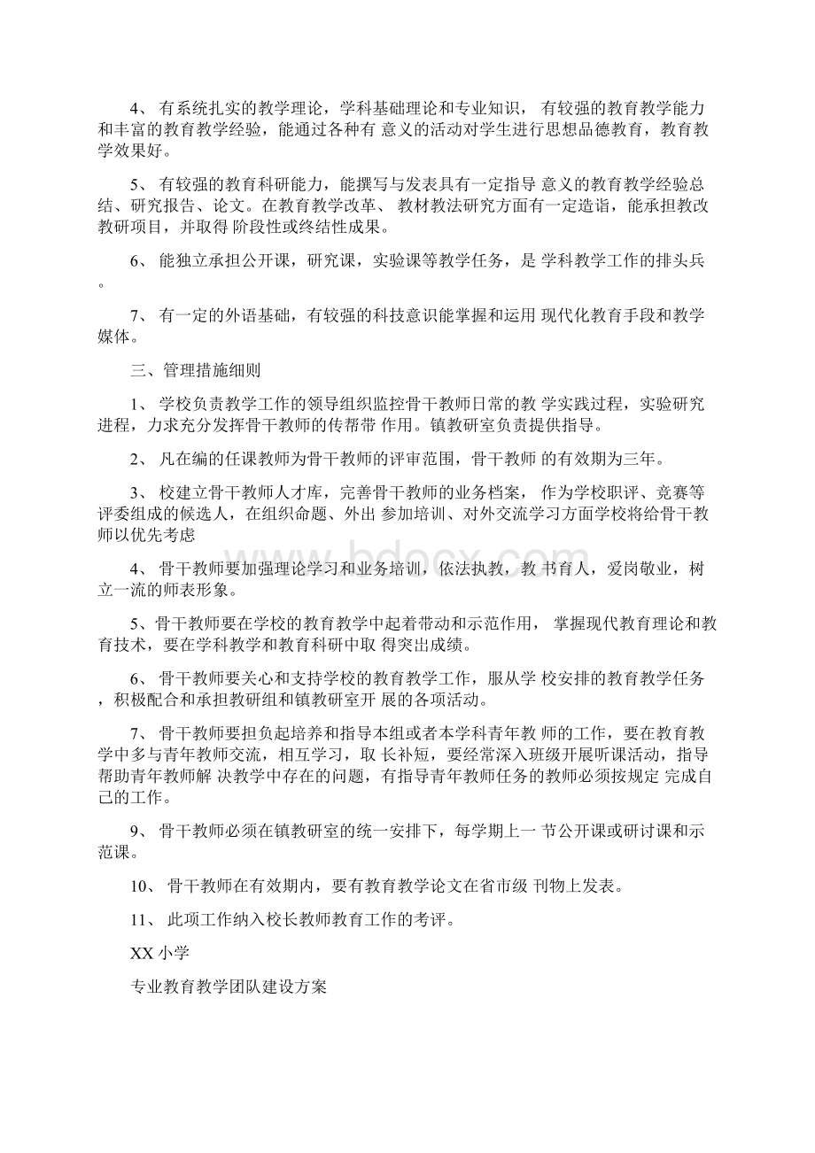 学校骨干团队建设方案Word文档下载推荐.docx_第2页