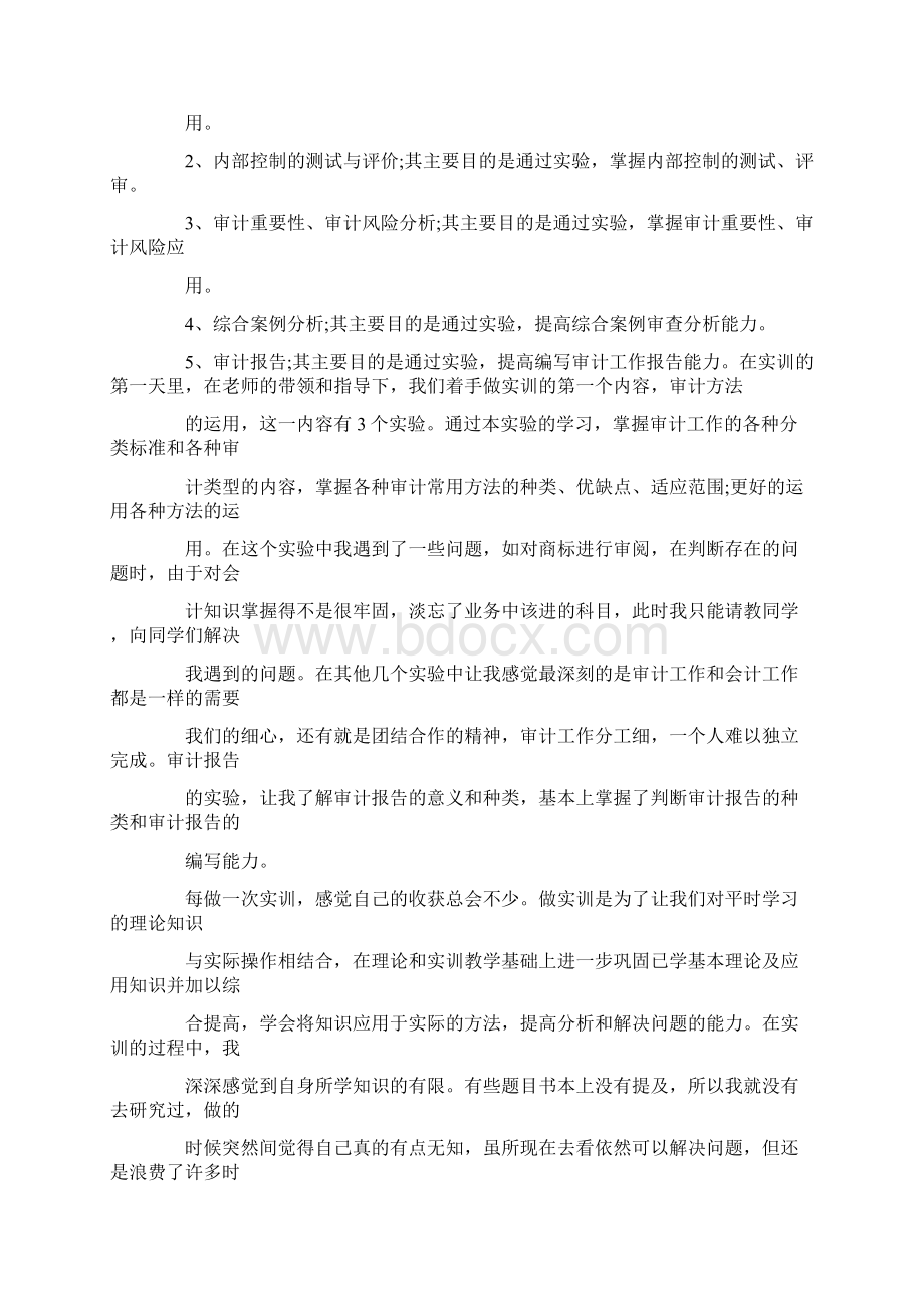 审计学习报告Word文档格式.docx_第2页