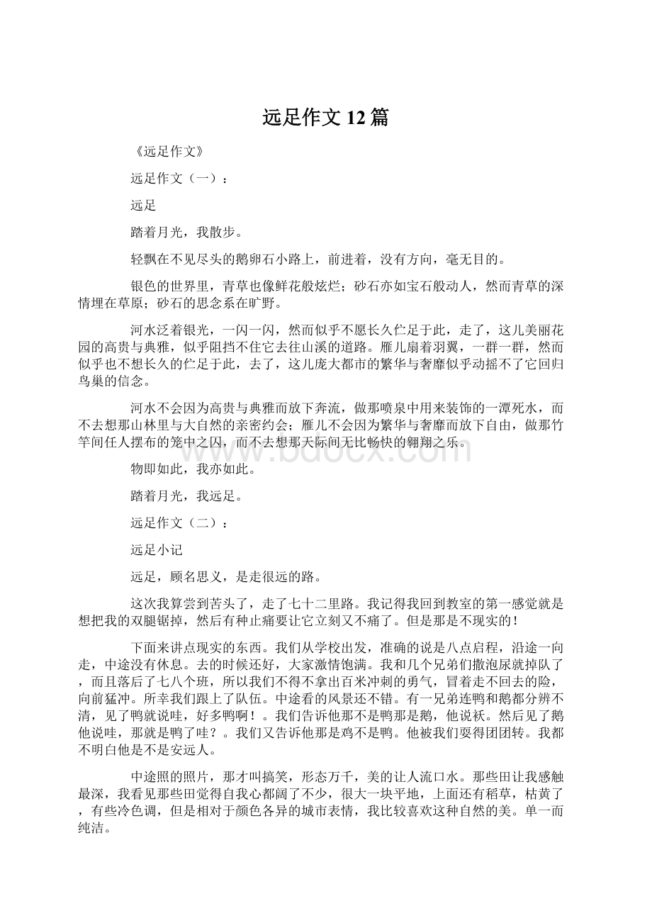 远足作文12篇Word文档格式.docx_第1页