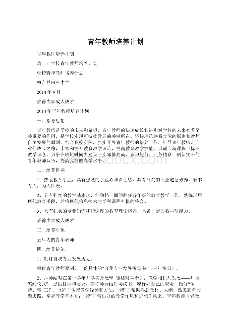 青年教师培养计划.docx