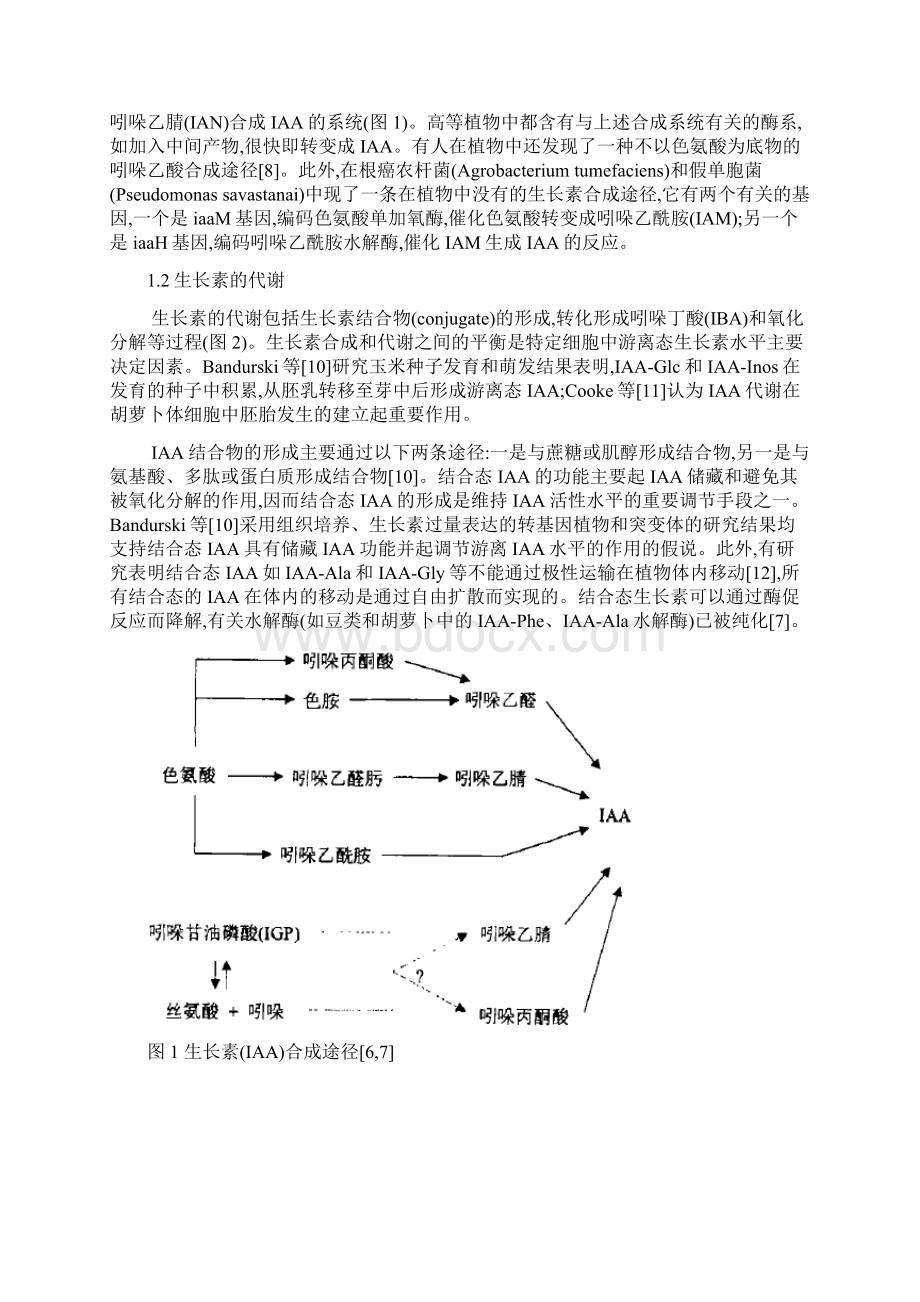 发育生物学Word格式.docx_第2页