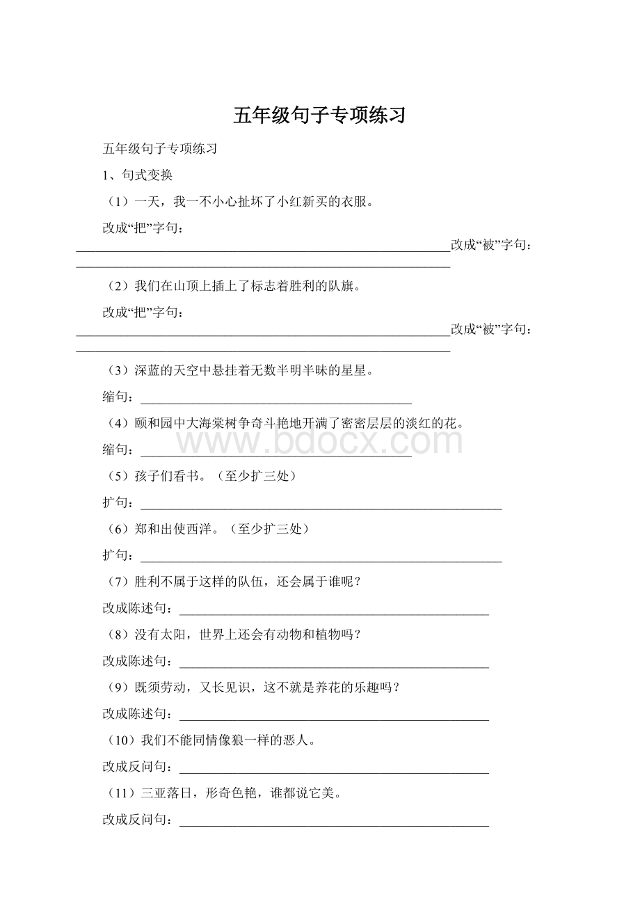 五年级句子专项练习Word格式.docx