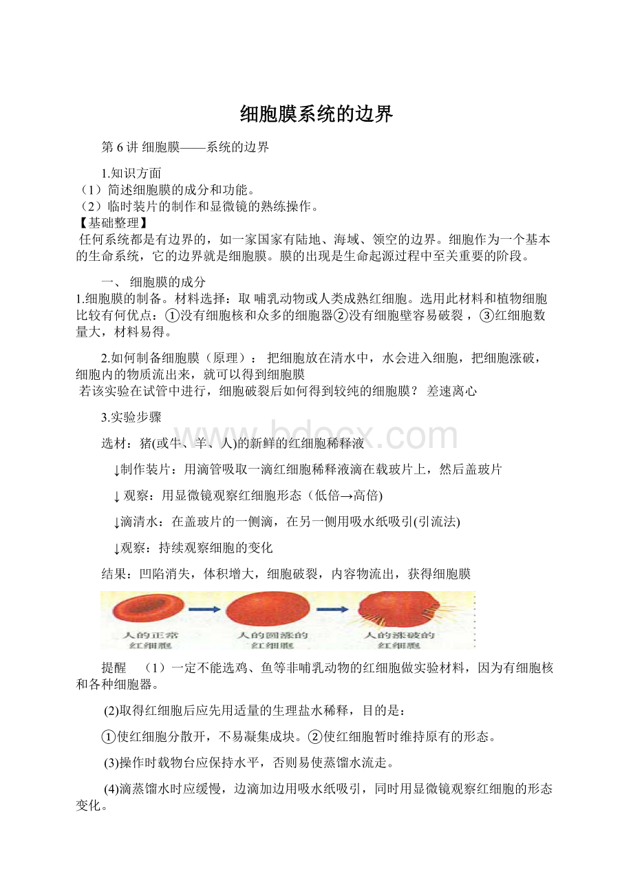 细胞膜系统的边界.docx