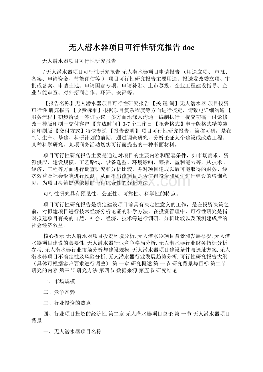 无人潜水器项目可行性研究报告doc.docx_第1页