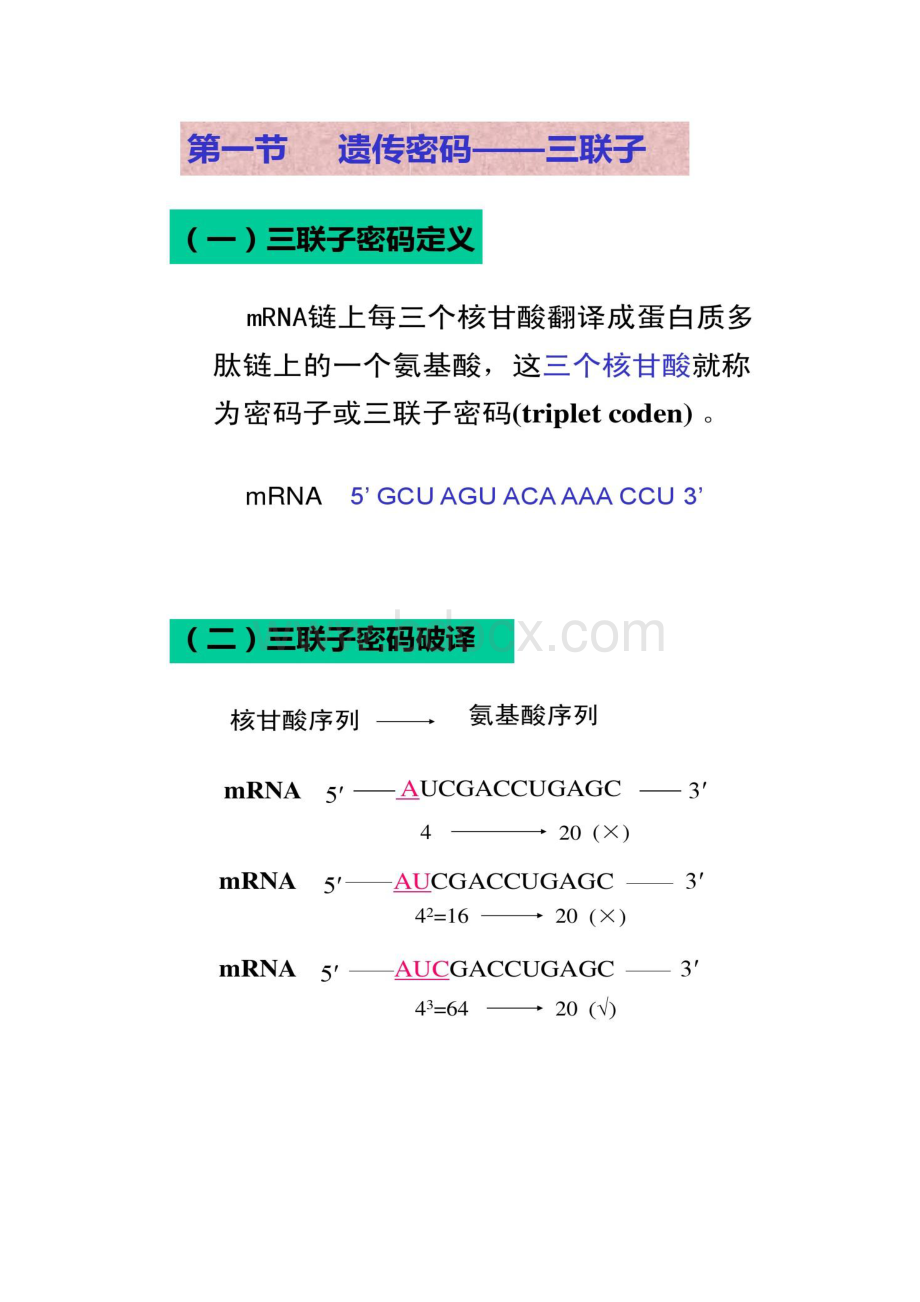 第四章 生物信息的传递下从RNA到蛋白质.docx_第3页