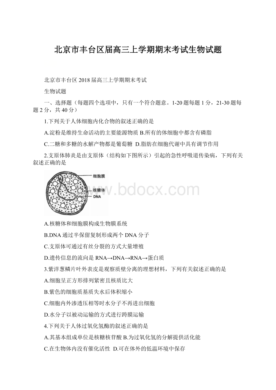 北京市丰台区届高三上学期期末考试生物试题.docx