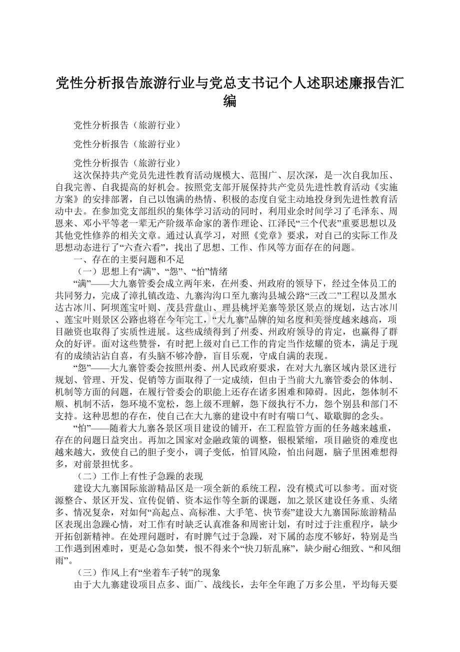 党性分析报告旅游行业与党总支书记个人述职述廉报告汇编Word下载.docx