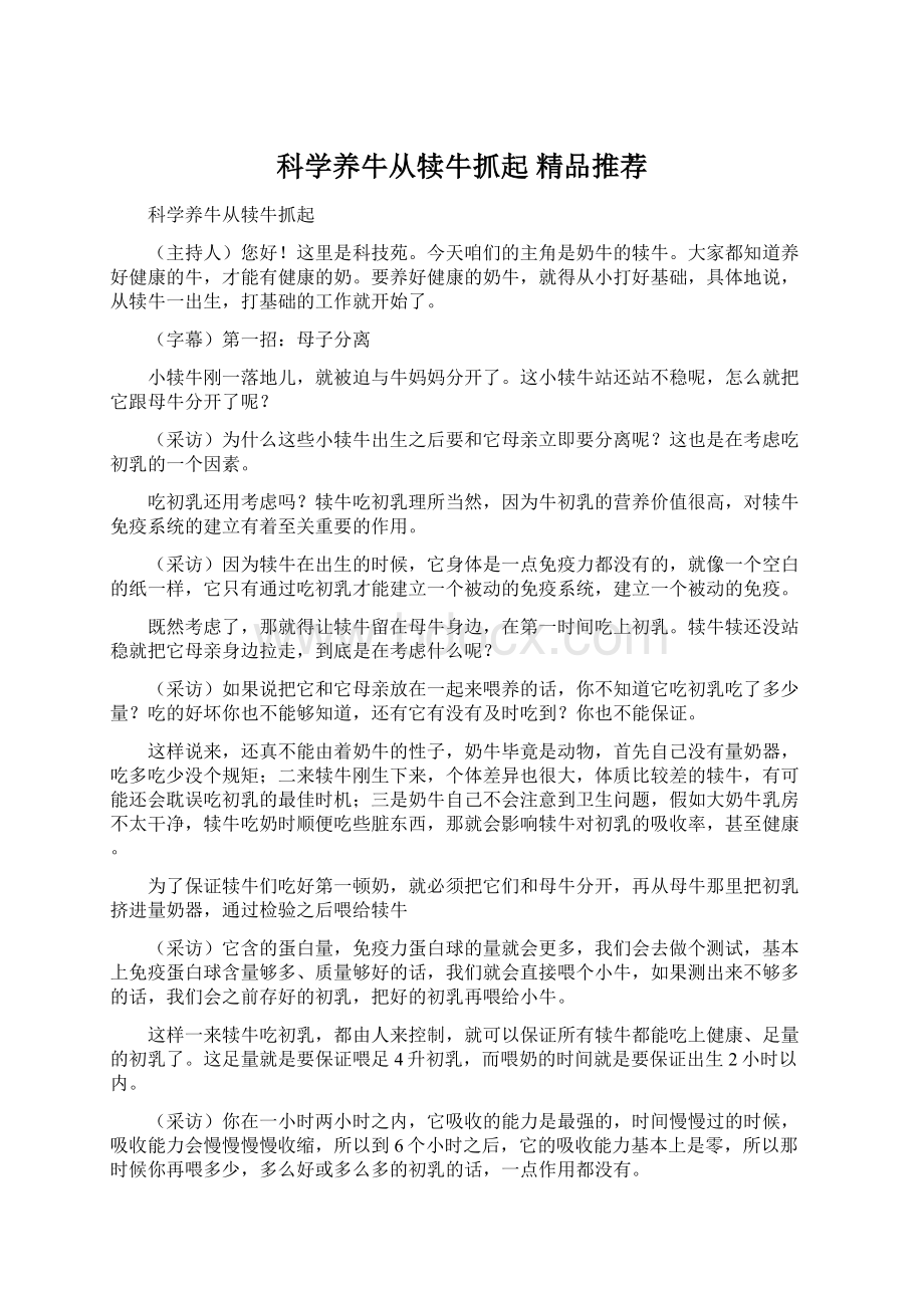 科学养牛从犊牛抓起精品推荐Word格式文档下载.docx