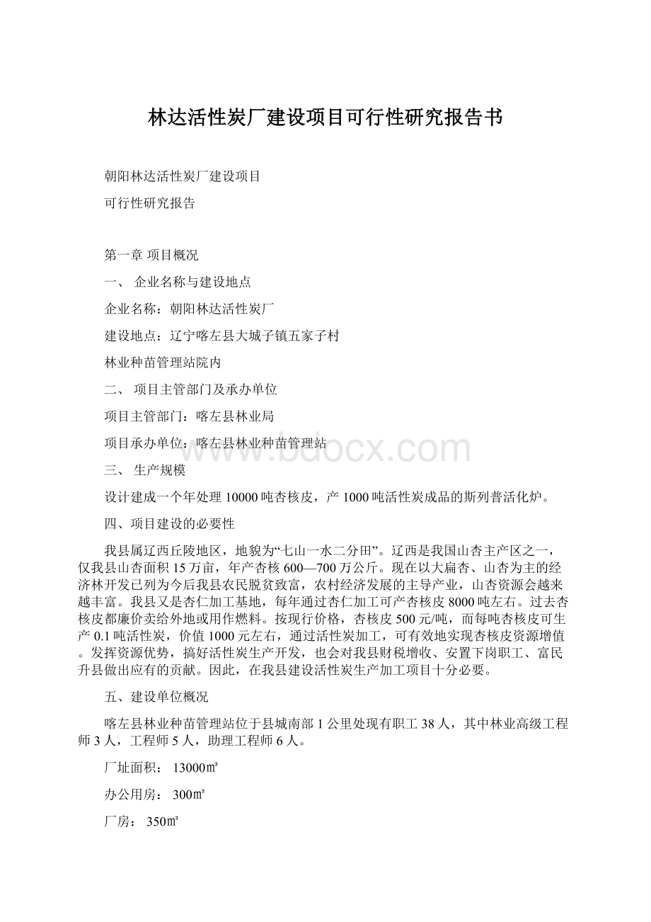 林达活性炭厂建设项目可行性研究报告书Word文档格式.docx