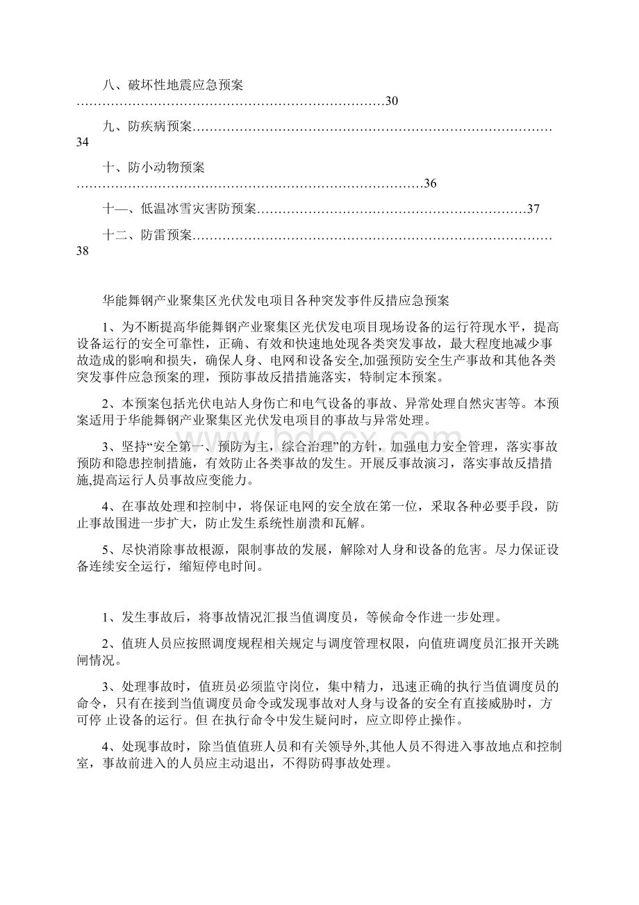 光伏电站应急处置预案Word格式文档下载.docx_第2页