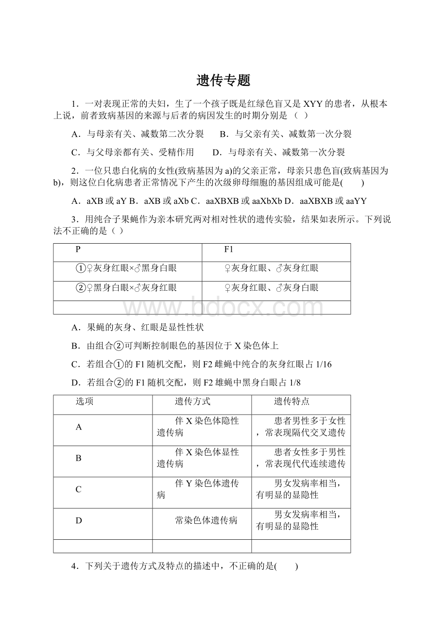 遗传专题文档格式.docx_第1页