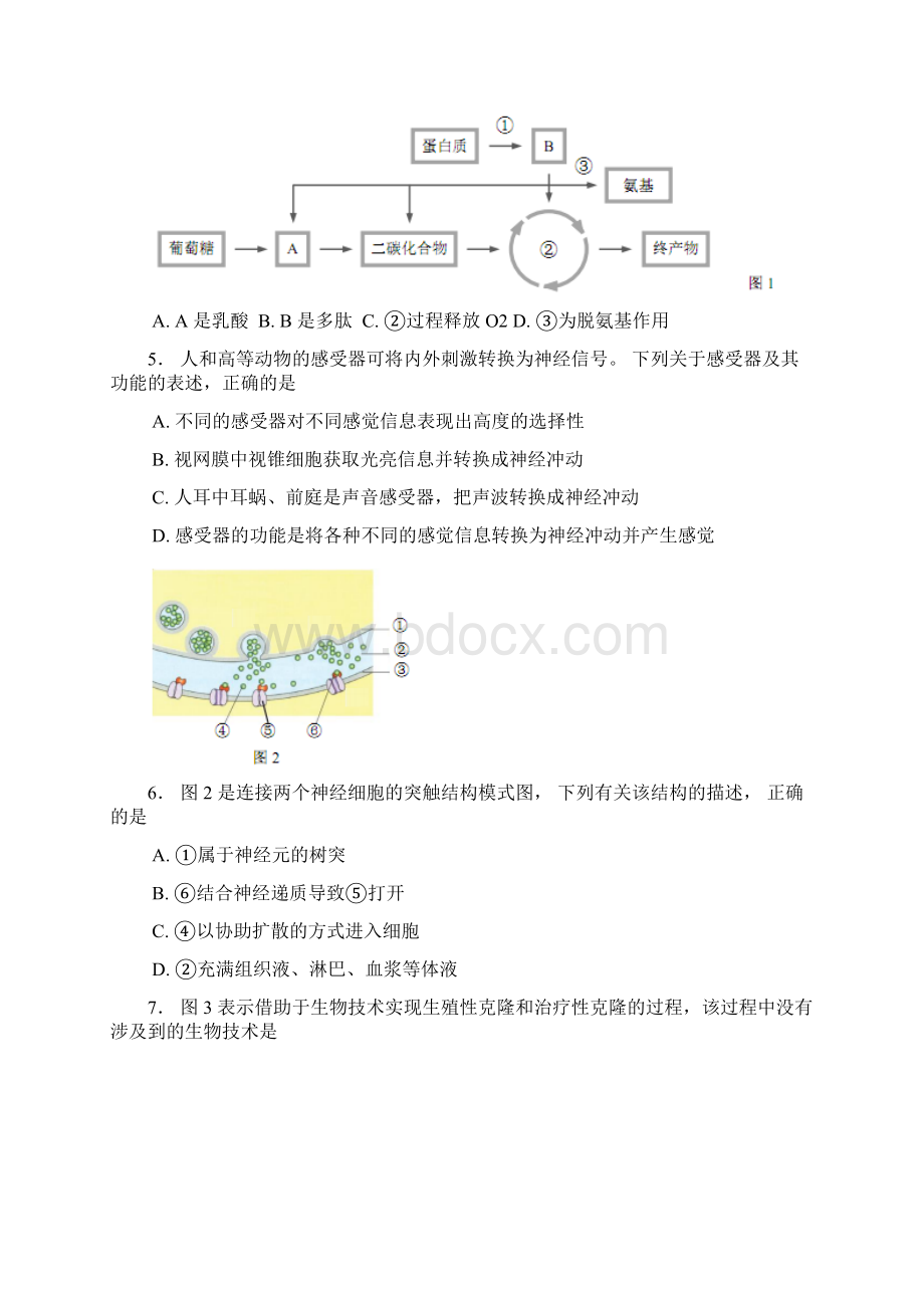 杨浦区高二高三第一学期期末一模学科质量检测生物试题及答案精编.docx_第2页