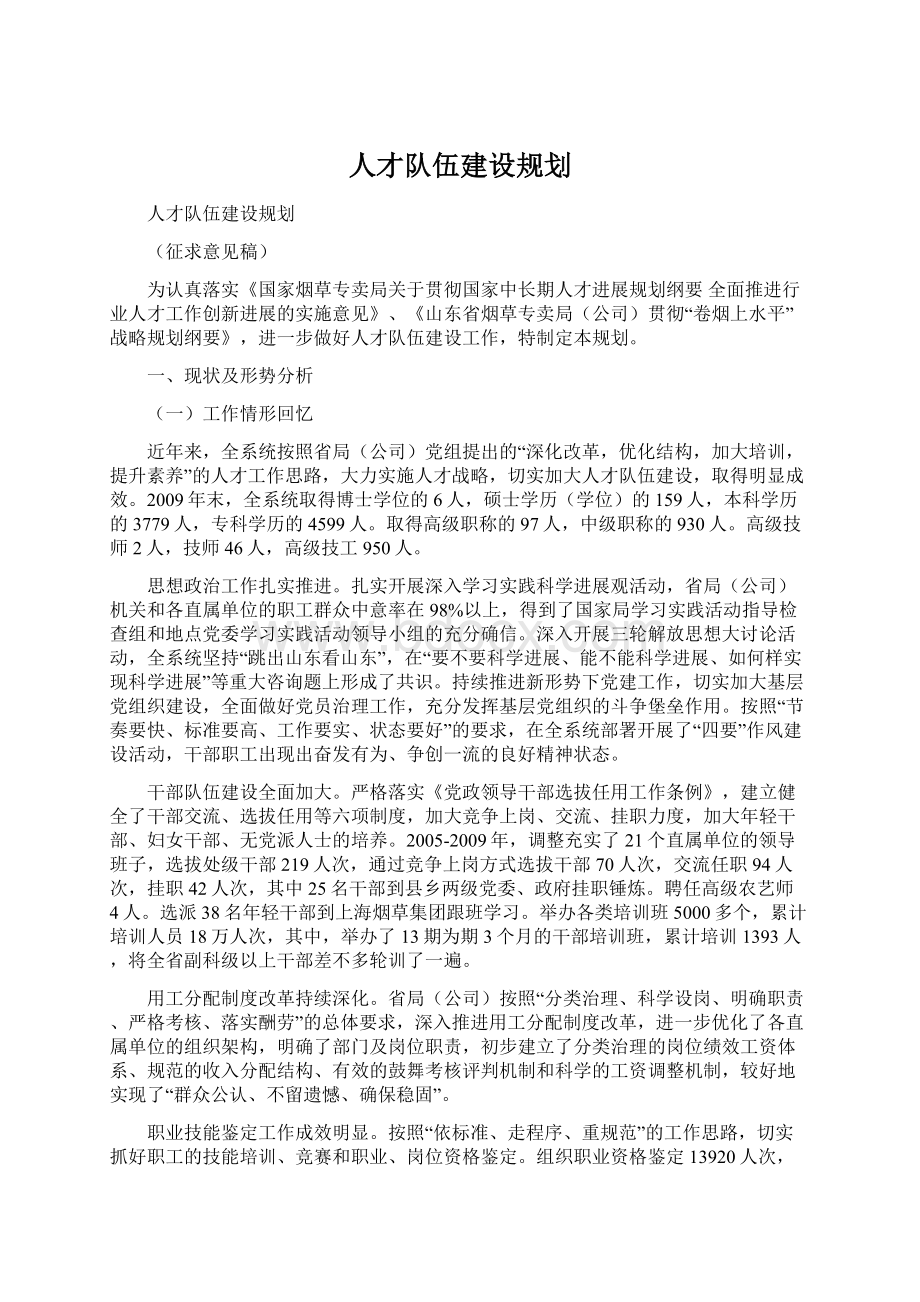 人才队伍建设规划.docx