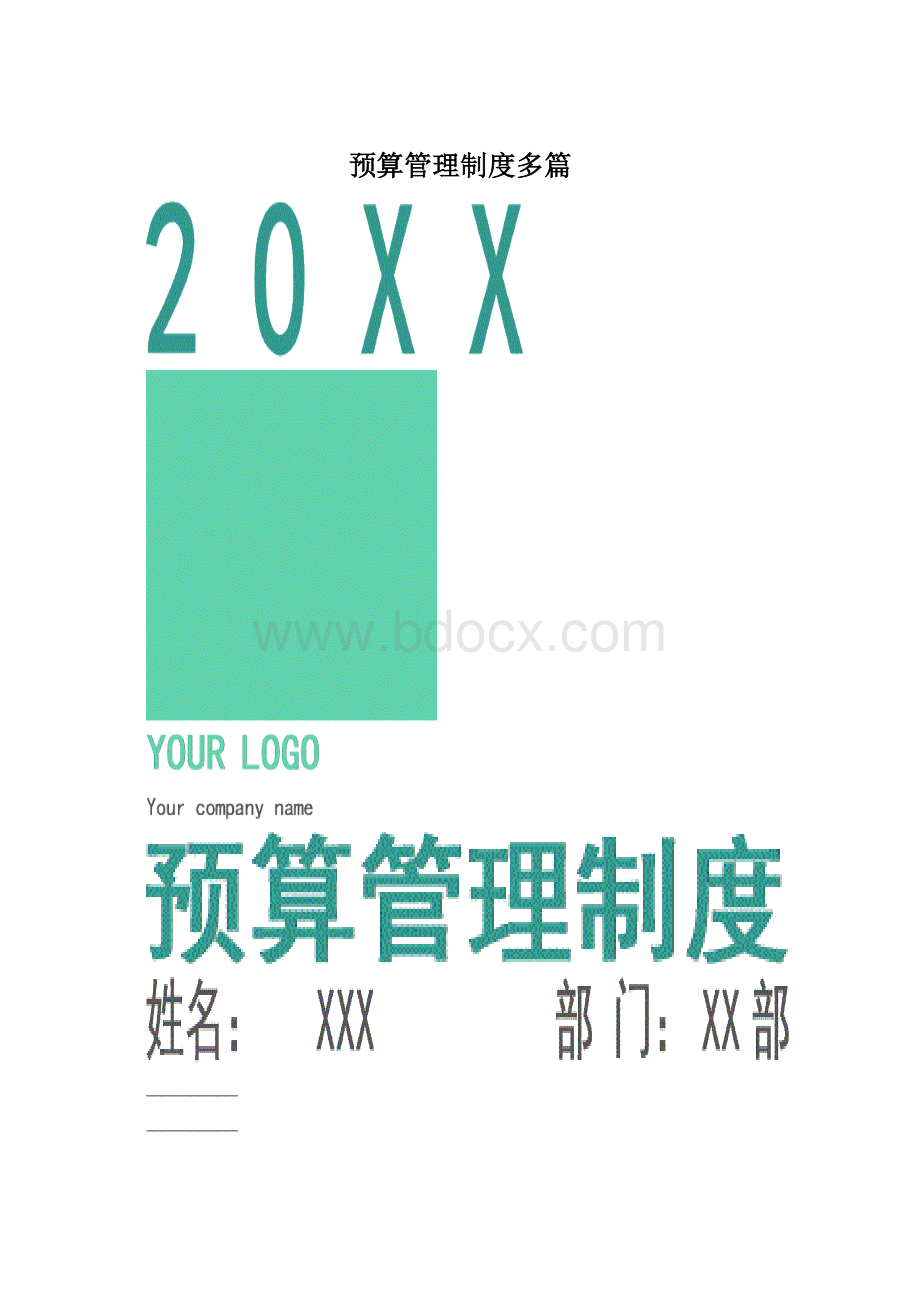 预算管理制度多篇文档格式.docx