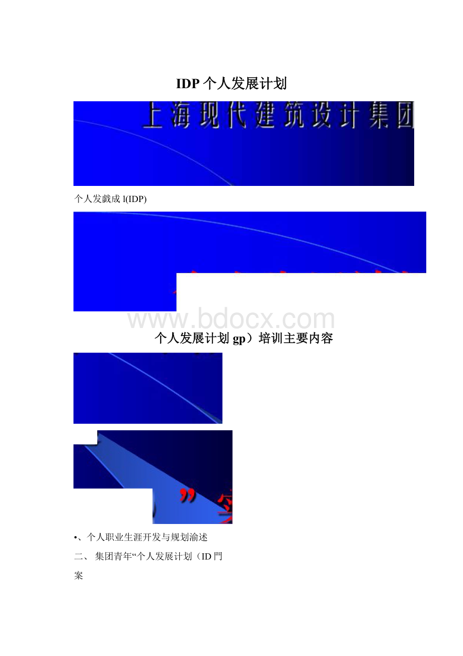 IDP个人发展计划.docx