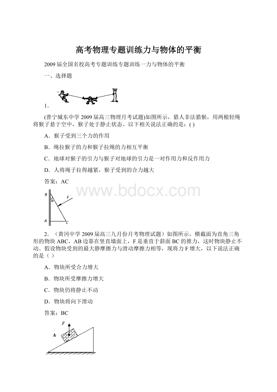 高考物理专题训练力与物体的平衡Word格式.docx_第1页