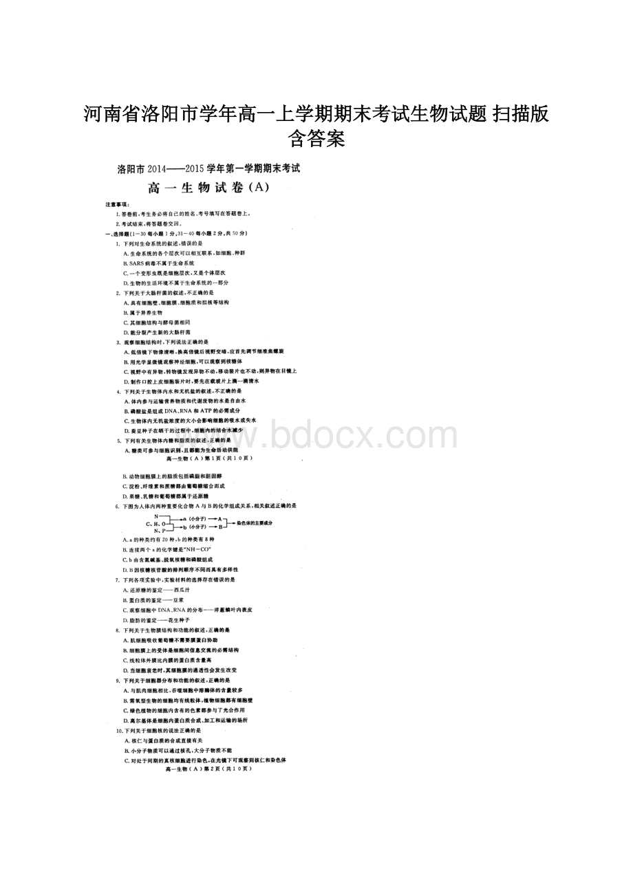 河南省洛阳市学年高一上学期期末考试生物试题 扫描版含答案Word格式文档下载.docx_第1页