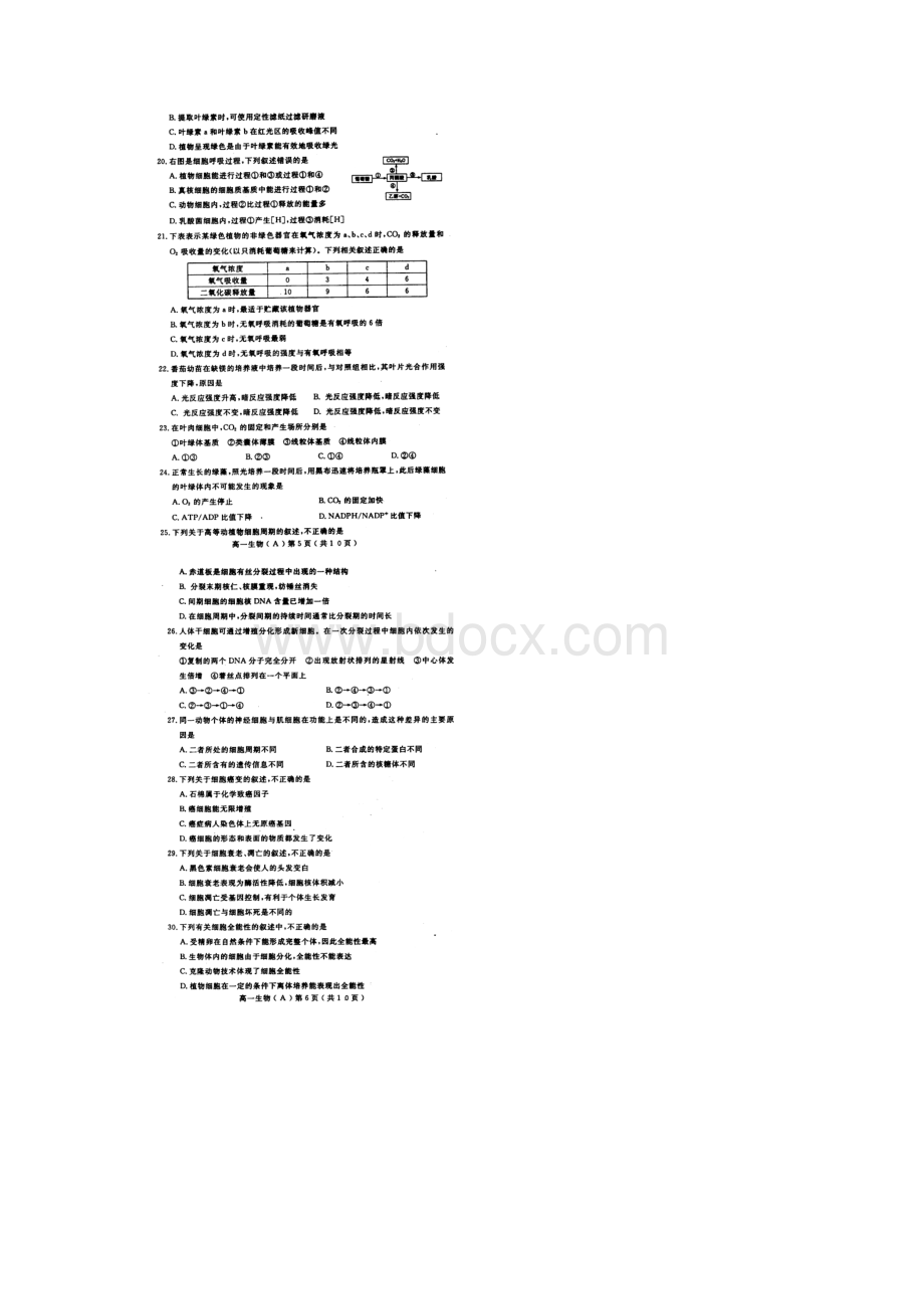 河南省洛阳市学年高一上学期期末考试生物试题 扫描版含答案Word格式文档下载.docx_第3页