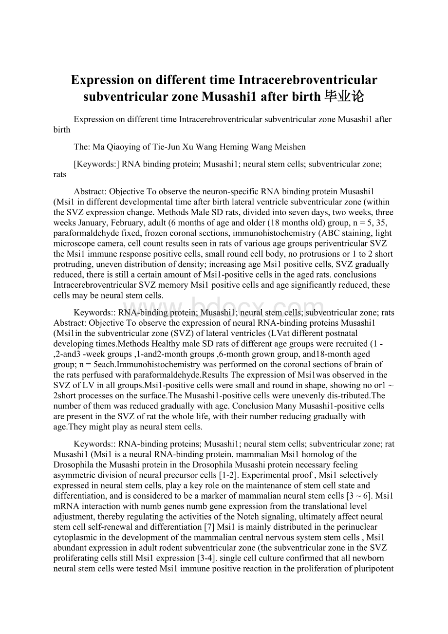 Expression on different time Intracerebroventricular subventricular zone Musashi1 after birth毕业论.docx_第1页