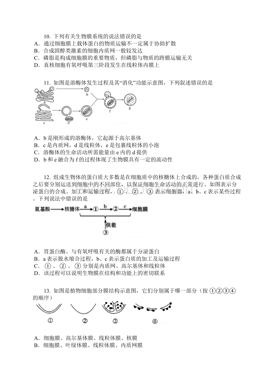 第二单元 细胞的基本结构与物质运输基础检测卷含答案及解析.docx_第3页