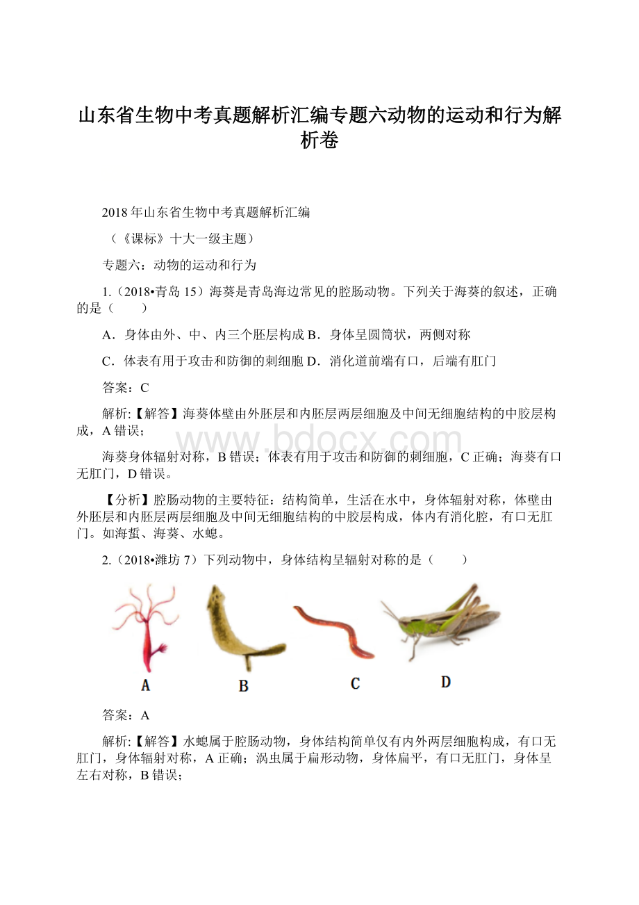 山东省生物中考真题解析汇编专题六动物的运动和行为解析卷.docx