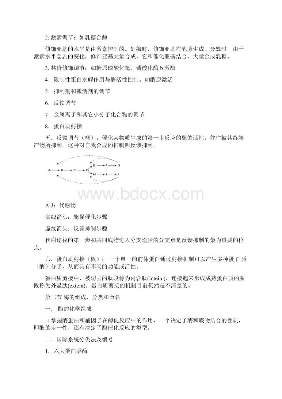 酶工程课程复习资料整理.docx_第2页