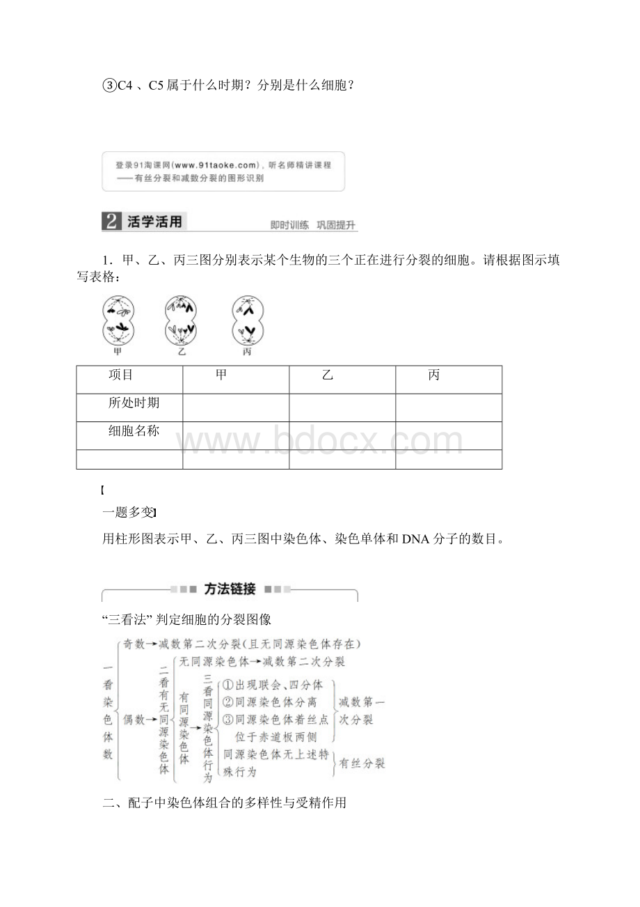 高中生物必修2精品学案 213减数分裂的观察受精作用Word文件下载.docx_第3页