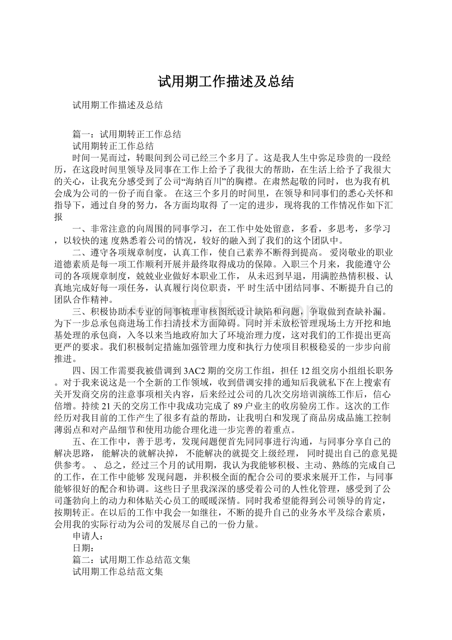 试用期工作描述及总结.docx_第1页