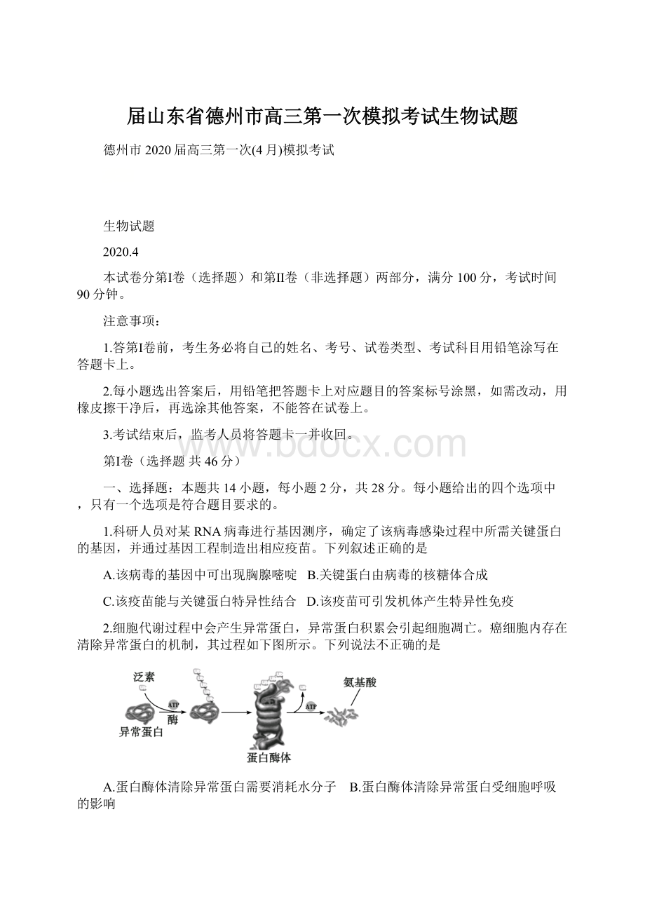 届山东省德州市高三第一次模拟考试生物试题Word文件下载.docx