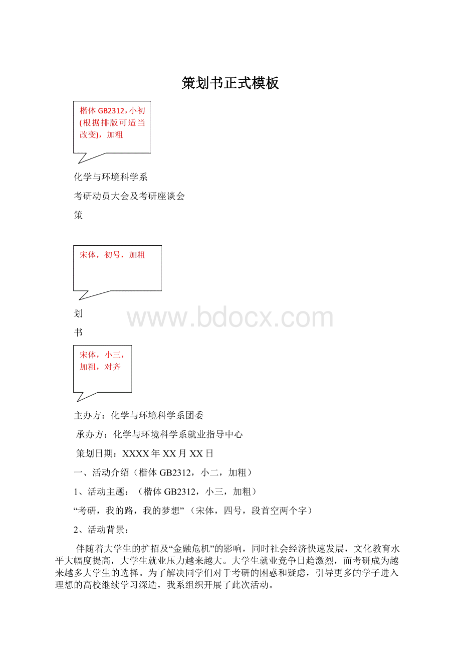 策划书正式模板.docx