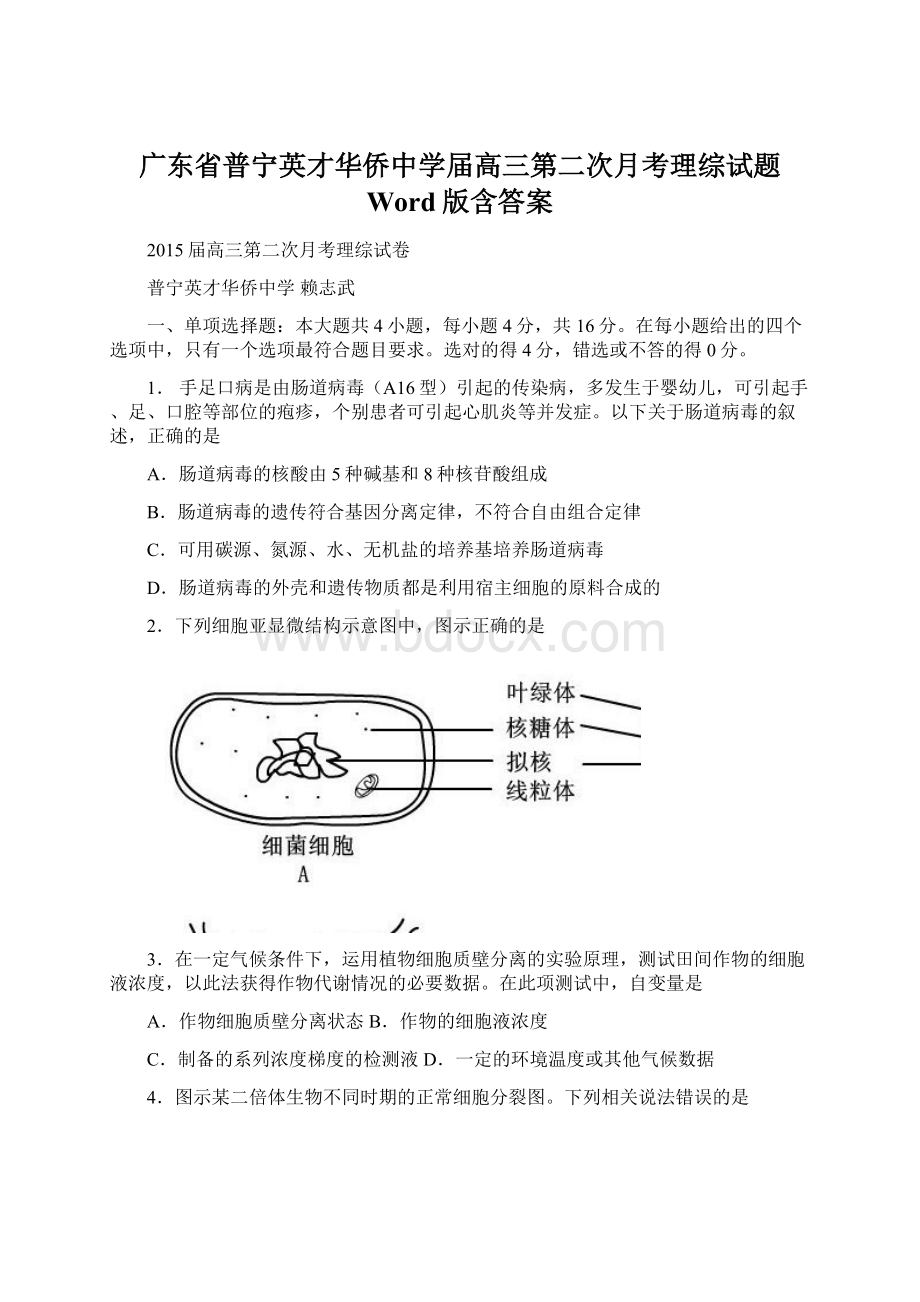 广东省普宁英才华侨中学届高三第二次月考理综试题 Word版含答案Word格式.docx