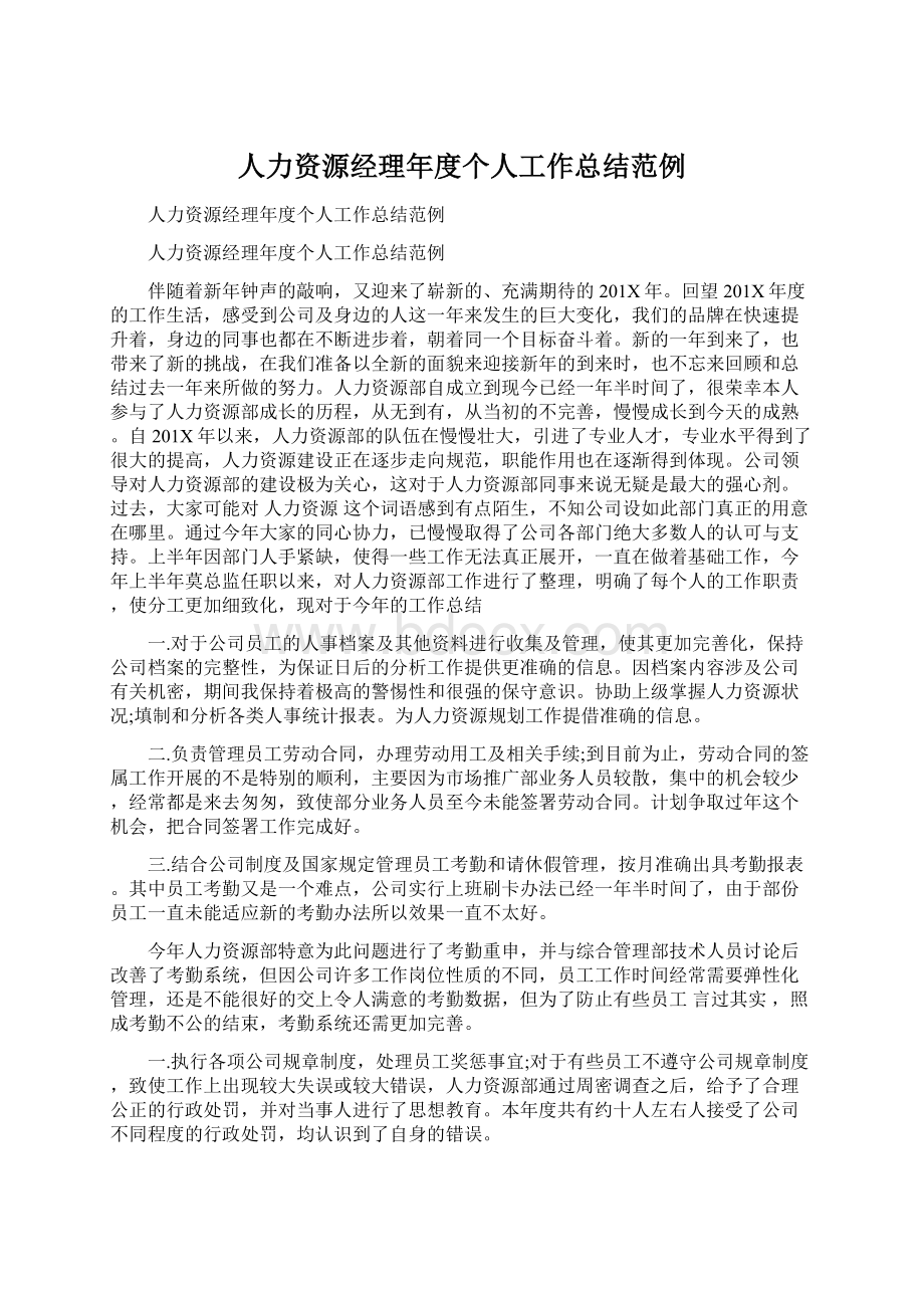 人力资源经理年度个人工作总结范例文档格式.docx_第1页