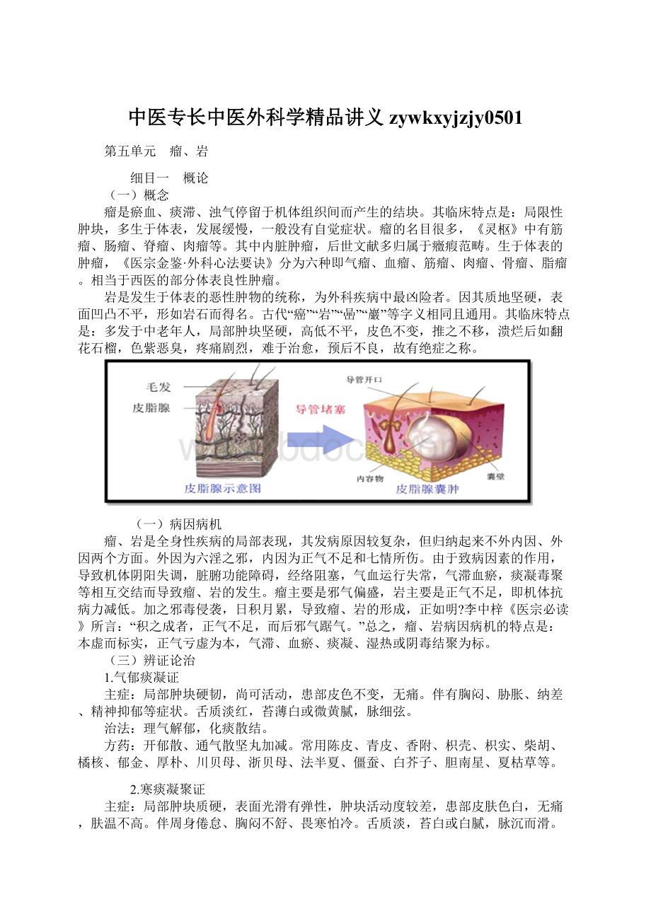 中医专长中医外科学精品讲义zywkxyjzjy0501.docx