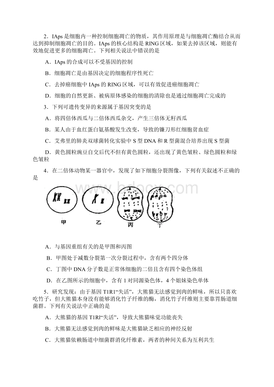 宁夏银川一中届高三下学期第一次模拟试题理科综合试题精品推荐.docx_第2页