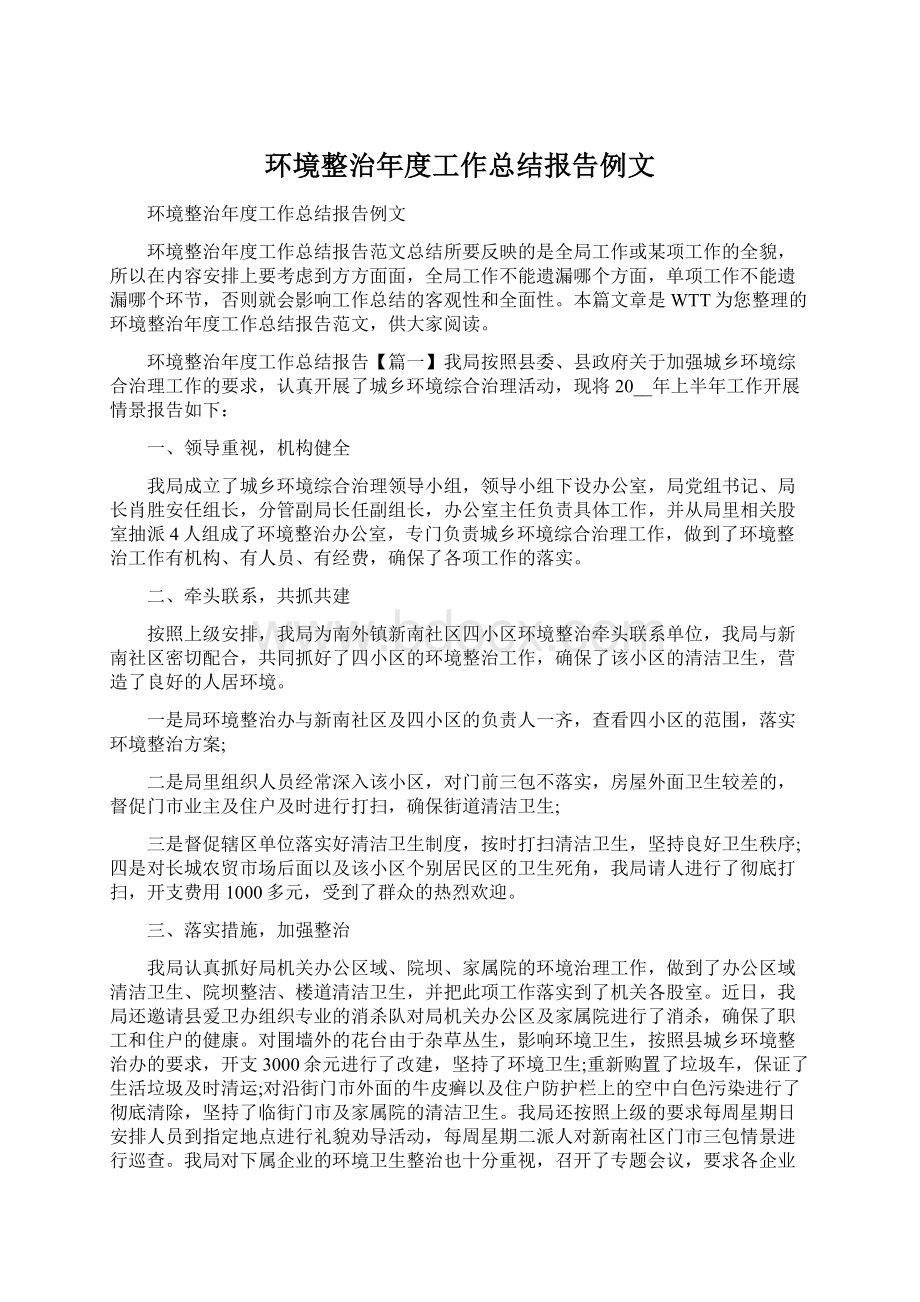 环境整治年度工作总结报告例文Word文档格式.docx