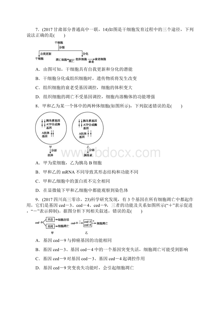 高考生物总复习阶段滚动练245单元Word格式文档下载.docx_第3页