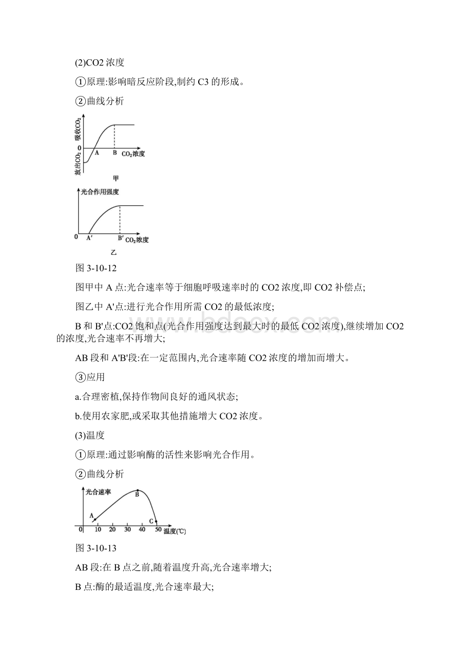 高考生物一轮复习第3单元第10讲光与光合作用2课时学案苏教版文档格式.docx_第2页